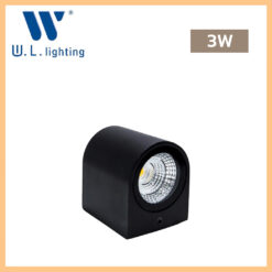 โคมไฟติดผนังภายนอก LED WLLIGHTING รุ่น WL-B11-1-3W-BK